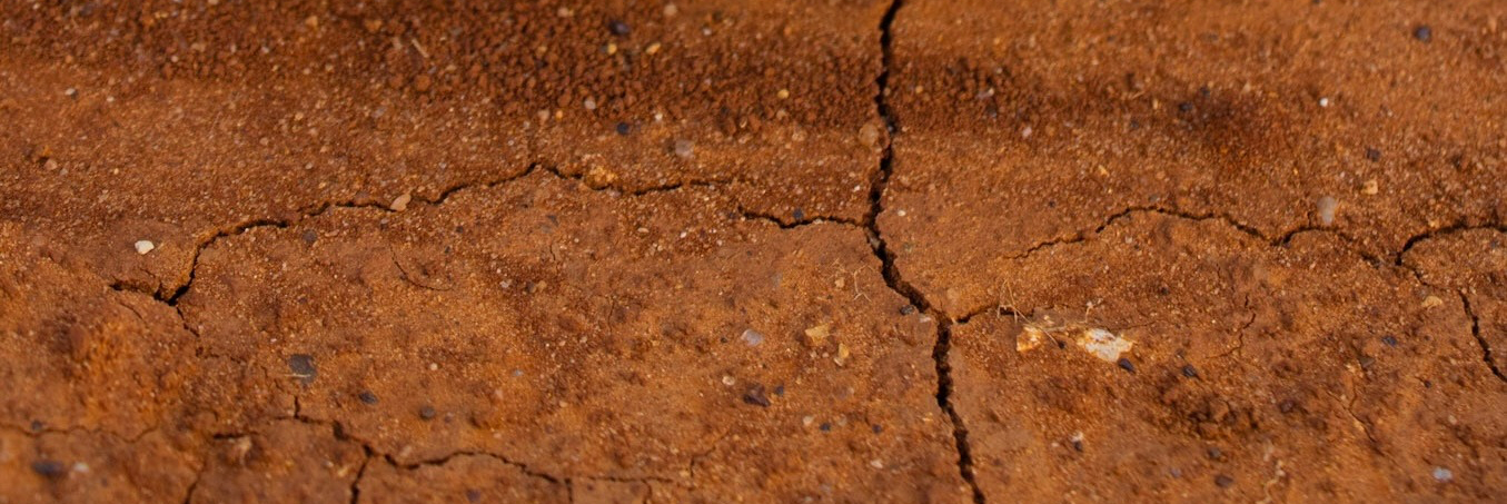 Close-up of cracked brown soil